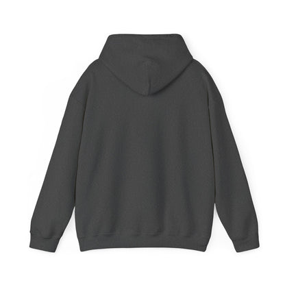 Karasun FLY hoodie Volleyball Club cosplay Kageyama