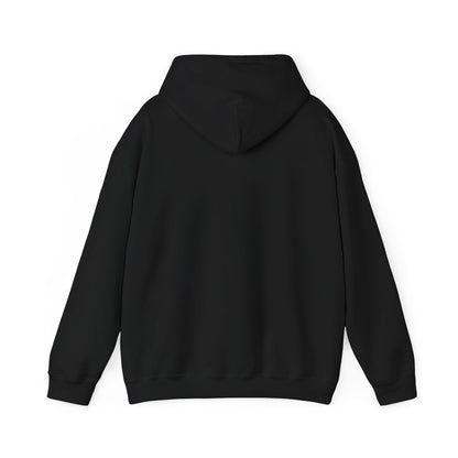 Japan Aesthetic hoodie Kawaii Vaporwave Cherry Blossoms Pink