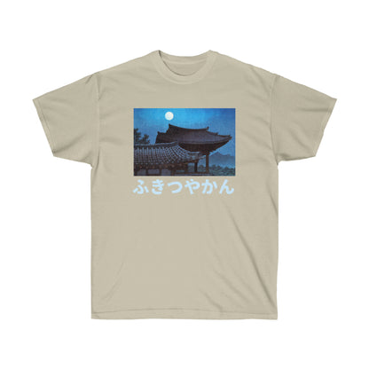 Japan Night Streetwear Vintage T-shirt Gift For Edo period
